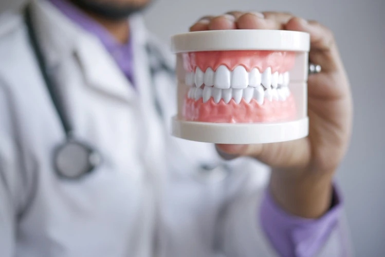 Dental model held by dentist demonstrating teeth structure at MY DENTIST Kakadeo Kanpur